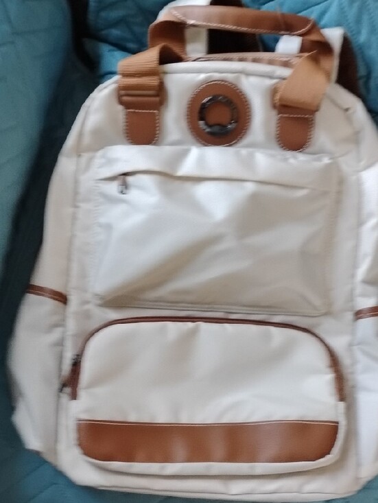 Delsey Paris Cream & Brown Laptop Travel Backpack